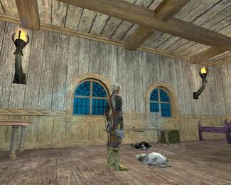 EverQuest2_2005-06-16_02-41-09-71.jpg